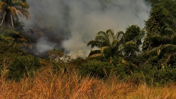 Barrancabermeja entra en alerta por riesgo de incendios forestales