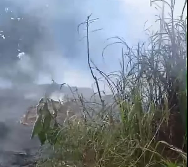 Se solicita la urgente presencia de los Bomberos por incendio forestal en Morrorico