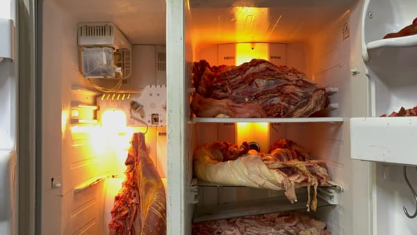 Sellan establecimiento de carnes por malas prácticas en La Cumbre