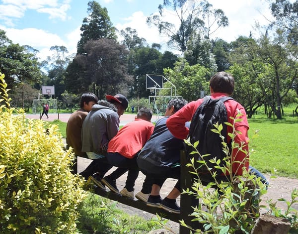 Jóvenes del Catatumbo renacen tras dejar grupos armados