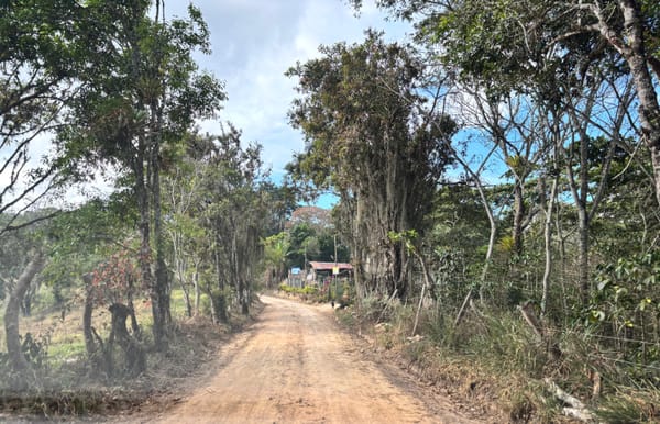 Más de 20 km de vías rurales reciben mantenimiento en San Gil