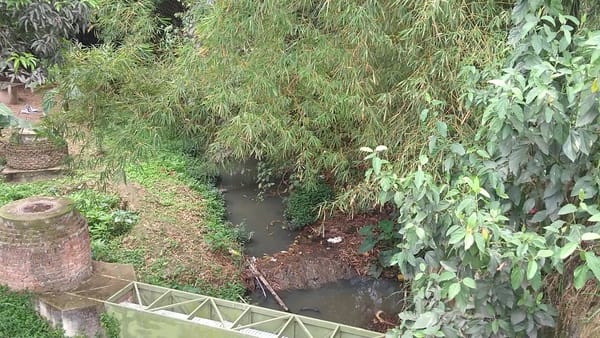 Lebrija refuerza limpieza de la quebrada Las Raíces