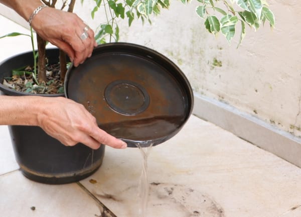 Intensifican operativos contra el dengue en San Gil