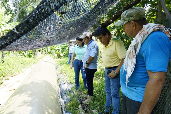 Santander, región pionera en la elaboración de biofertilizantes a partir de la transformación de desechos