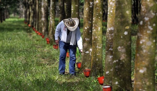 Cifras de desempleo preocupan a los gremios económicos de Santander