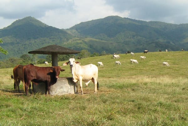 Industria y agricultura jalonan la capacidad productiva de Santander