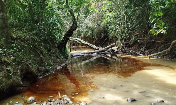 Preocupación por nuevo derrame de crudo en la quebrada La Lizama