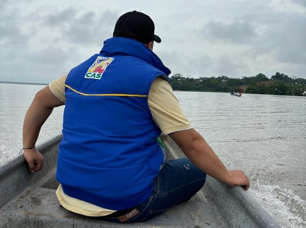 Misteriosa muerte de manatí enciende alertas en El Llanito