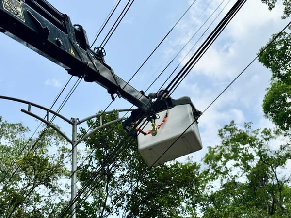 Reinstalan 800 metros de alumbrado público en la Transversal Oriental