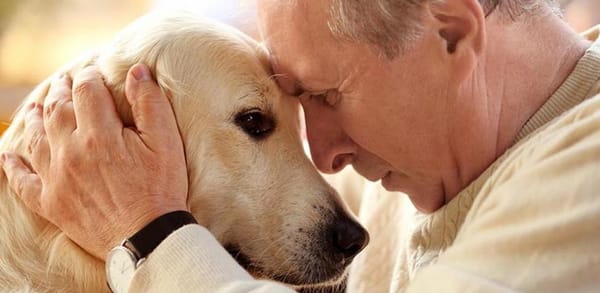 Animales que sanan: así llega la quinta edición de “Estar Bien”