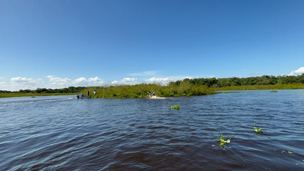 Renacen los humedales de Puerto Parra