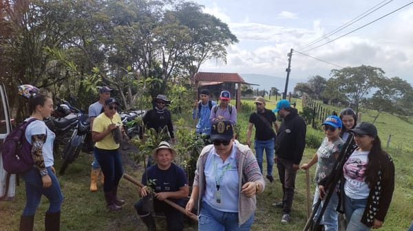 Estudiantes reforestan la vereda El Tuntún