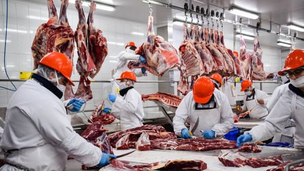 Sector cárnico en Colombia superó en 1.000% sus cifras exportadoras