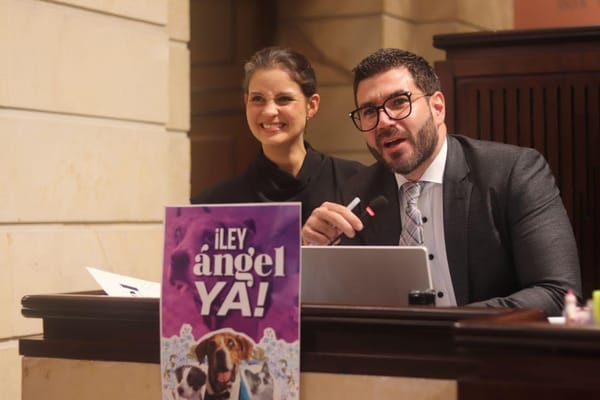Piden al presidente que sancione ley que endurece castigo contra el maltrato animal