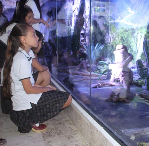 UIS abre al público la Sala de Exhibición del Museo de Historia Natural
