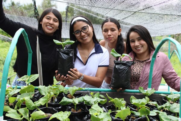 Ellas son las santandereanas que repoblarán de ceibas barrigonas  paisajes del Cañón del Chicamocha