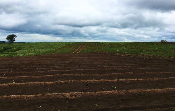 La Corte recordó las facultades del juez de restitución de tierras, entre ellas, la contribución a la paz y el acceso progresivo a la tierra
