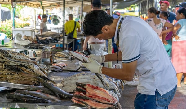 Operativos para evitar venta de pescado en mal estado durante la Semana Mayor en Barrancabermeja