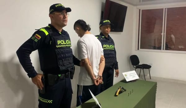 Por porte ilegal de arma de fuego Audrey fue a parar a la Fiscalía