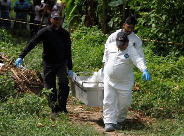 En absurdo accidente un hombre fue asesinado por un toro en Curos