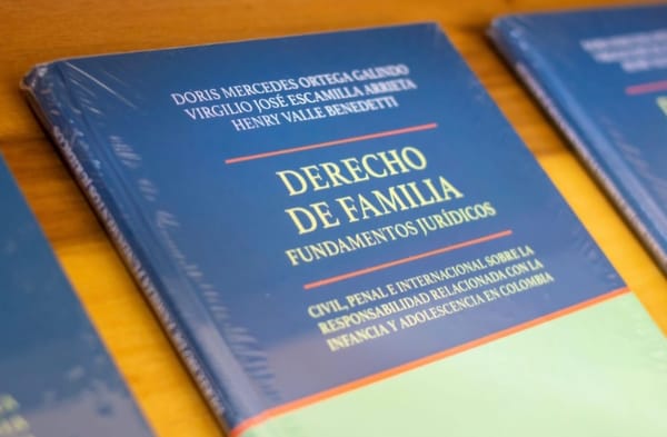 Nuevo libro sobre protección de la infancia