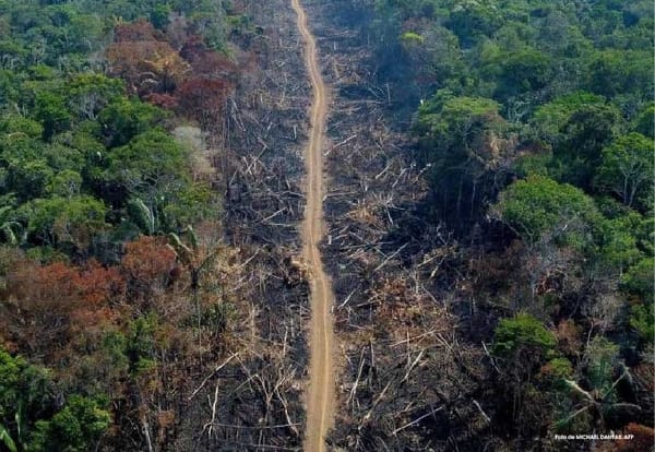 Se agudiza crisis ambiental en la Amazonía: 88.000 hectáreas deforestadas y 1.107 kilómetros de vías ilegales