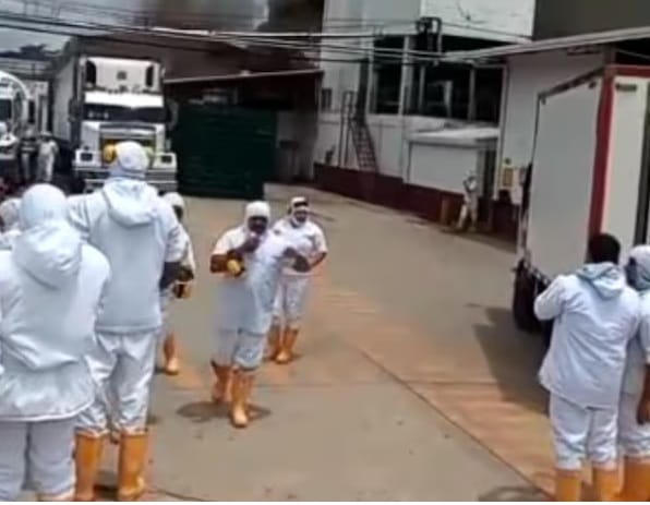 Ardió en llamas planta procesadora avícola Distraves en Piedecuesta