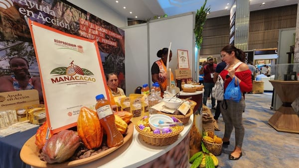 Santander es el mayor productor de cacao pero no el más exportador