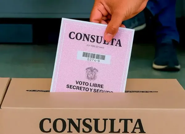 Las razones de los senadores para votar sí o no a la consulta popular