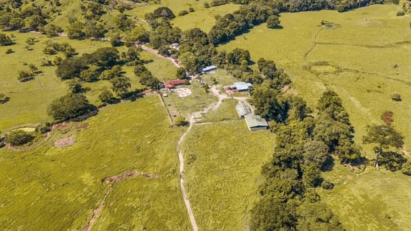 Golpe a la mafia: recuperadas para el campesinado 3.000 hectáreas usadas por narcotraficantes y paramilitares