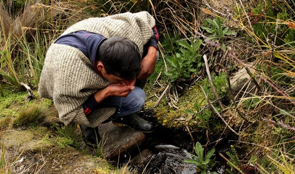 Alcaldía no expropiará predios para preservación ambiental en Bucaramanga