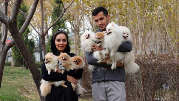 Ley antimascotas que prohíbe pasear perros por ser algo impuro
