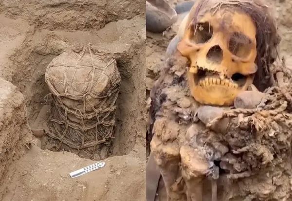 En las tuberías encontraron una momia infantil