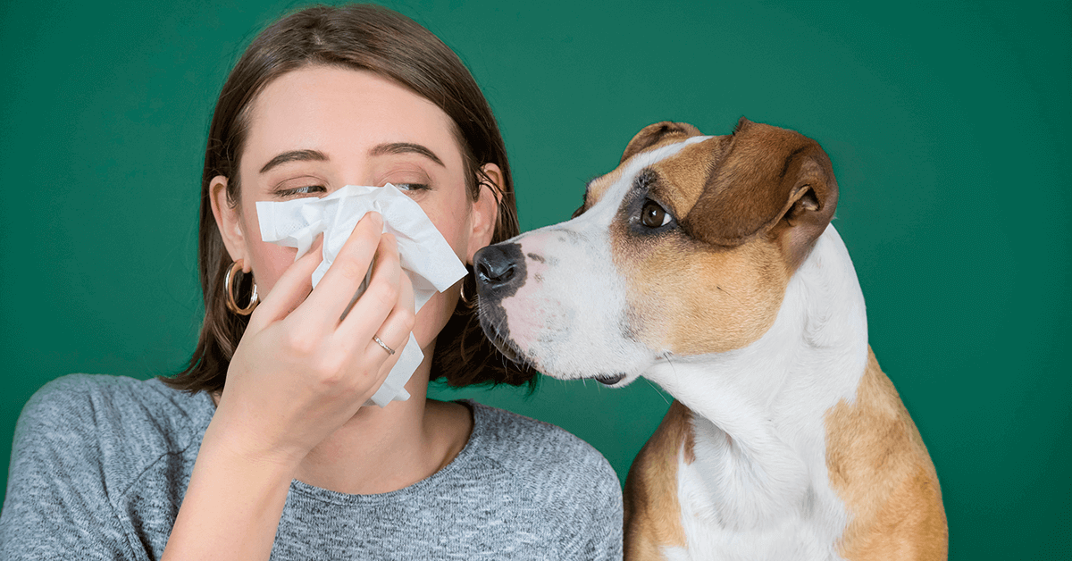 Cómo tener mascotas sin morir de alergia: consejos que sí funcionan