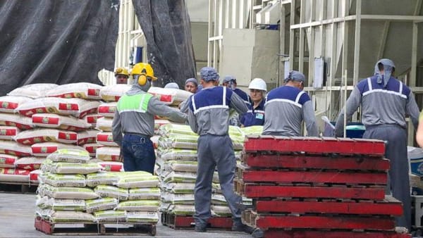 Aunque arroceros critican, gobierno defiende importaciones de arroz