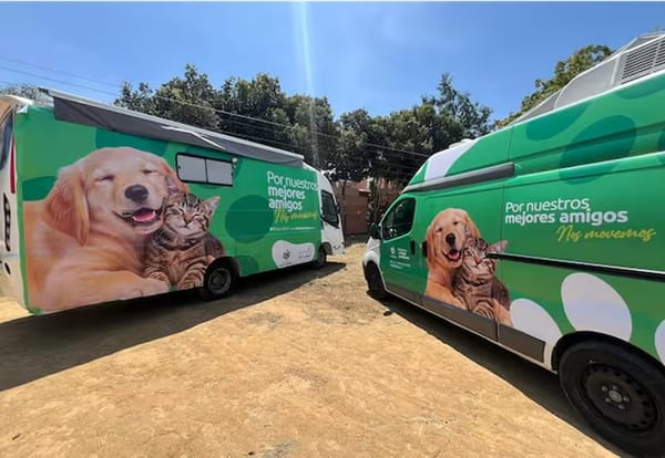 Habilitada plataforma digital para adoptar mascotas vía internet en Bucaramanga