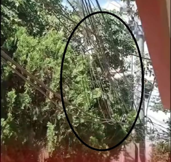 Brisas del Campo enfrenta riesgo por cables peligrosos en vía pública