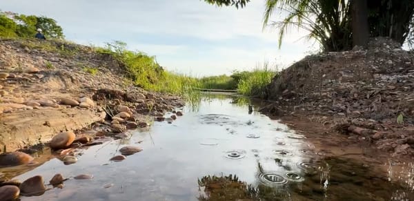 Ecopetrol alerta sobre posible afectación ambiental tras medida preventiva impuesta en El Llanito