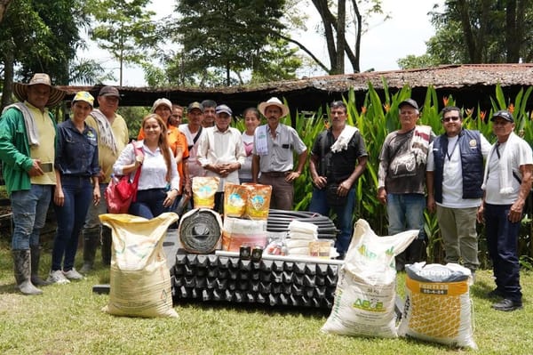 Reforestación para recuperar terrenos para ganadería en Cimitarra