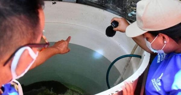 Alama en Santander por aumento de casos de dengue
