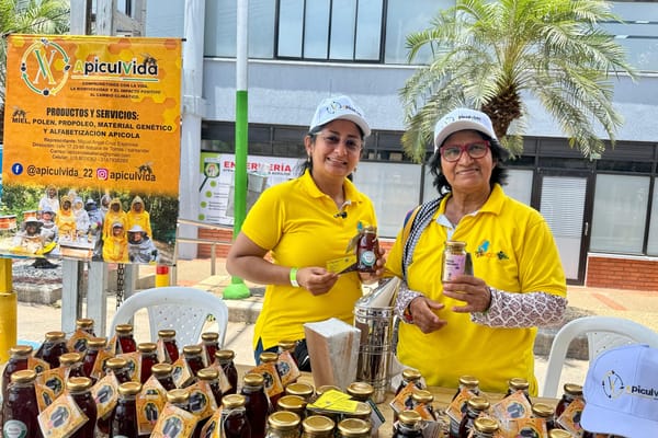 Festival del Criollo en Centroabastos Bucaramanga con cincuenta emprendedores