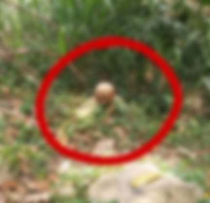 Espeluznante hallazgo en Piedecuesta: Comunidad encuentra un cráneo humano en caño