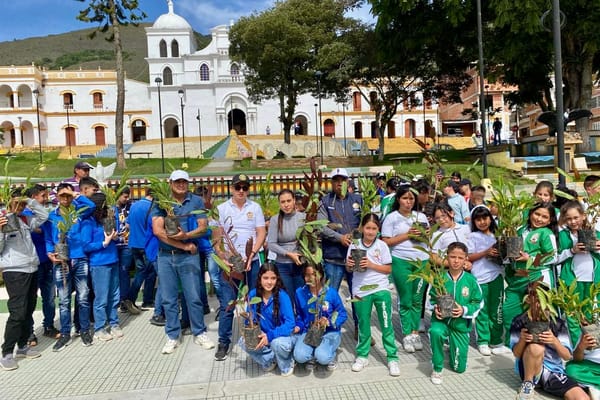 Jornada de reforestación para  recuperar las Ciénagas Brava y Sábalo en Barrancabermeja