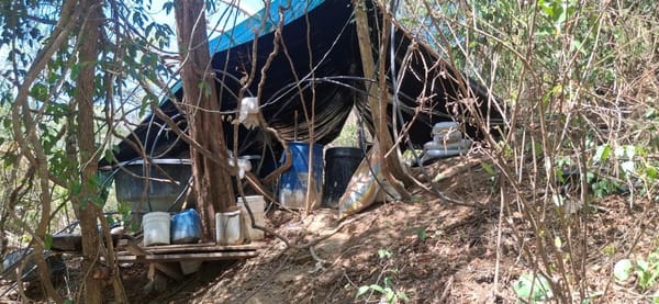 Desmantelada 'cocina' de cocaína en Norte de Santander