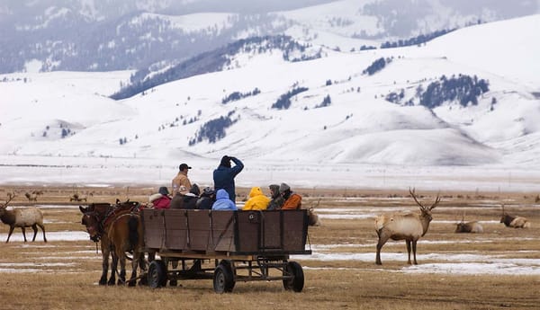 Autorizan construcción de carretera que atravesará refugio silvestre de Alaska