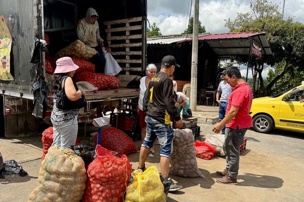 Hasta agotar existencias entregarán 105 toneladas de papa en Área Metropolitana