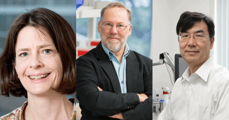 Tres científicos reciben Nobel de Medicina 2025