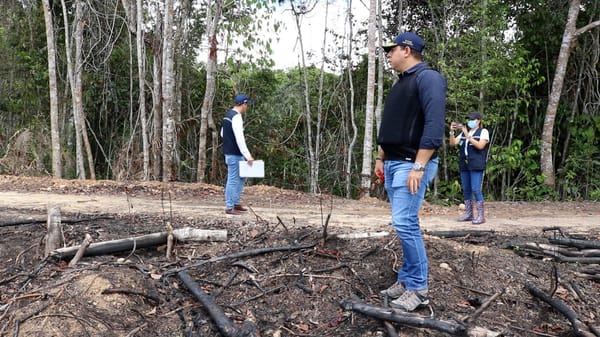 Recuperan terreno y acaban con tala de bosque nativo  en Barrancabermeja