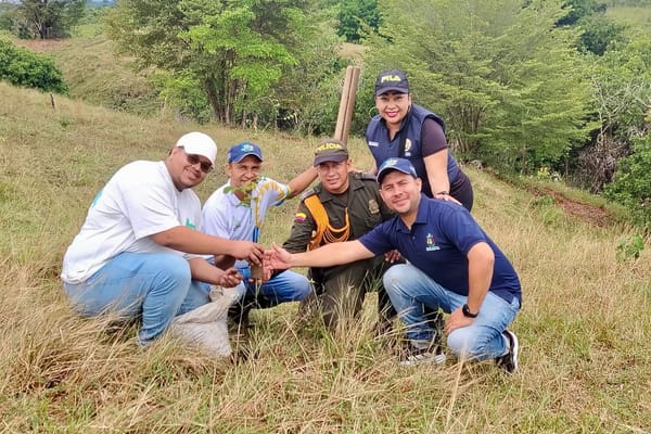 Reforestación masiva en Barrancabermeja promovida por la Secretaria Medioambiental de Santander