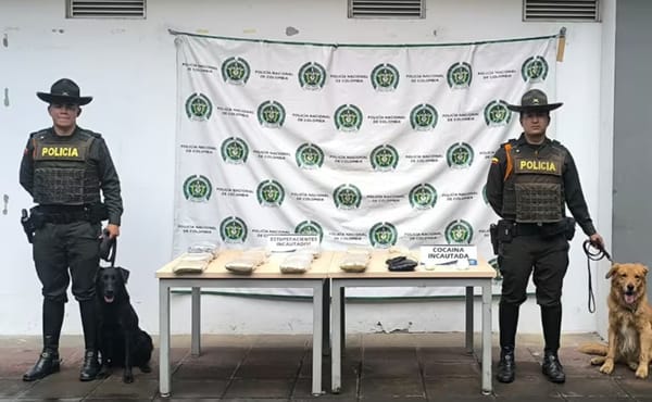 Olfato prodigioso les tumbo  'la vuelta' a mafias del narcotráfico en San Gil